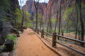 Muddy Hiking Trail Zion