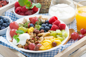 healthy breakfast - berries, fruit and cereal on the plate