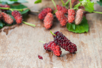 Mulberry fruit on wooden background. Selective