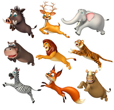 wild animal collection