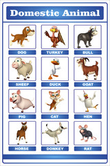 domastic animal chart