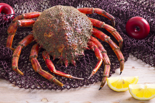 seafood, crab