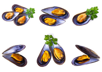 mussels