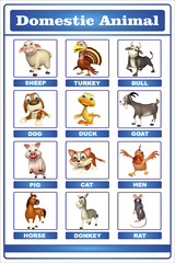 domastic animal chart