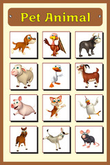 pet animal chart