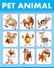 Obraz na płótnie Canvas pet animal chart