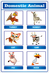 domastic animal chart