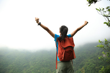 Fototapeta na wymiar cheering young asian woman open arms on spring mountain peak