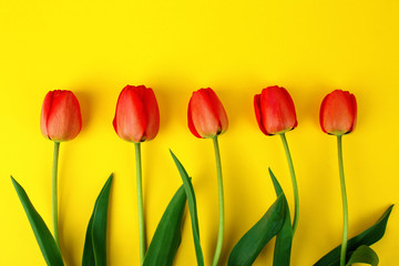 bouquet of red tulips on yellow wooden background
