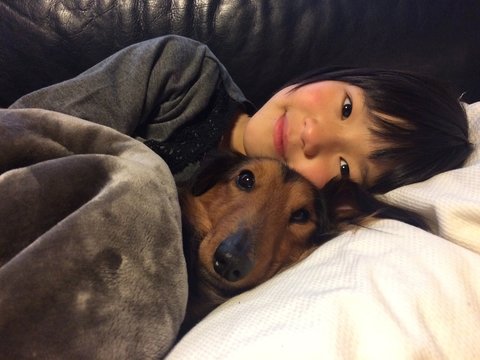 犬と少女 Photos Royalty Free Images Graphics Vectors Videos Adobe Stock 犬と少女 Photos Royalty Free Images Graphics Vectors Videos Adobe Stock