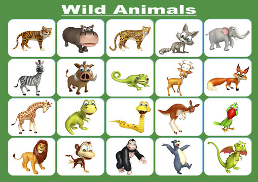 Fototapeta wild animal chart