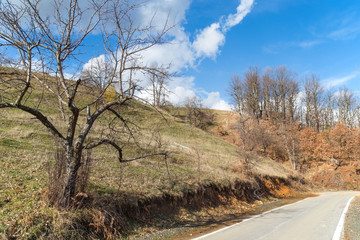 Leafless tree near the countryside road, leafless trees and trees with dry leaf crown in the background, Rhodope Mountains, Bulgaria, Europe