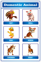 Obraz premium domastic animal chart