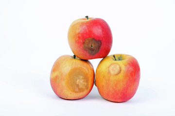 Drei faulige Äpfel