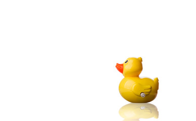 Yellow duck toy