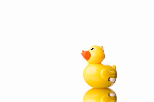 Yellow duck toy