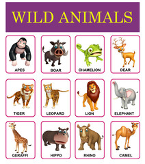 wild animal chart