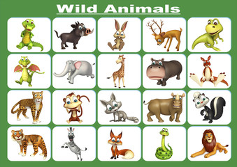 wild animal chart