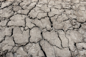 drought land - cracked ground.