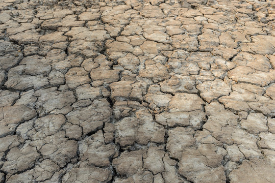 drought land - cracked ground.