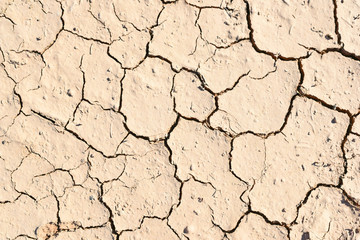 dried earth background. drought. Cracked ground with copy space.