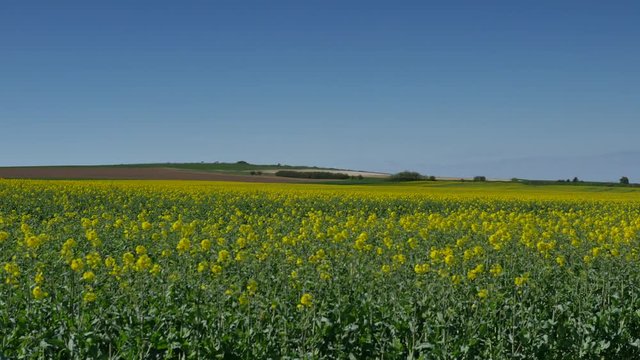 retour du printemps