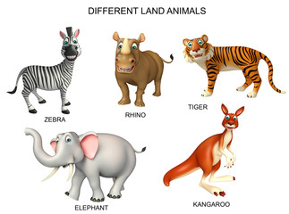 animal chart