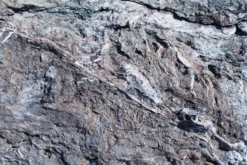 Stone texture. Portrait of a gray stone.