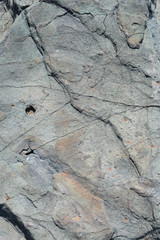 Stone texture. Gray stone.