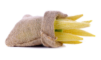 Fototapeta na wymiar Baby corns in Hemp sack isolated on white background