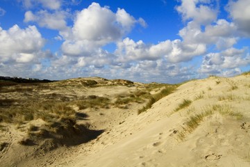 Fototapeta na wymiar the dunes of the Touquet