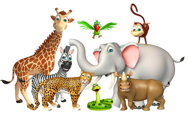 wild animal collection
