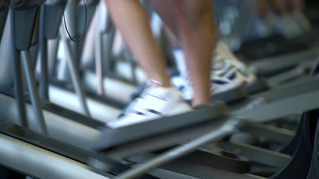 Human legs on a stepper