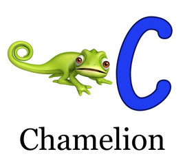 Chamelion wild animal with alphabate