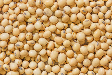 soy beans