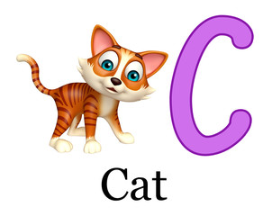 Cat domastic animal with alphabte