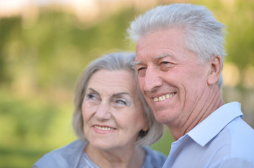 mature couple   in summer park