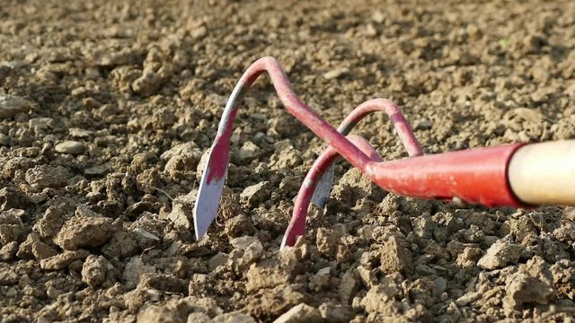 Gardening activity - cultivating the land with a tool, close up, UHD