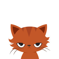 Angry cat cartoon. Cute cranky cat.