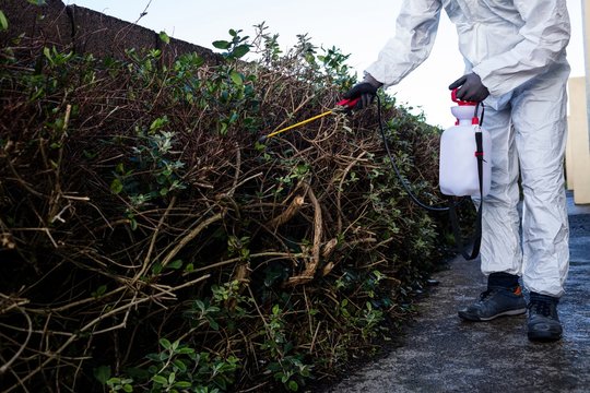 Pest control man spraying pesticide