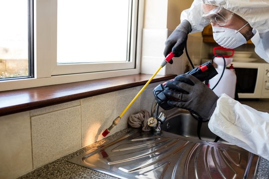 Pest control man spraying pesticide