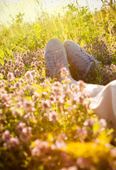Relaxing in a meadow full of Wild flowers in the summer sun