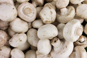fresh champignons. Champignon mushrooms  background