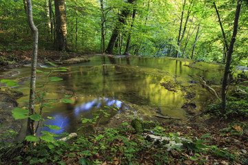 Fototapeta na wymiar Mountain river in the forest
