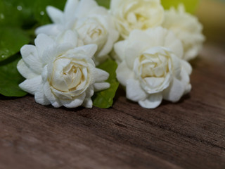 Tropical jasmine flower on wood.Jasmine flowers and leaves on br