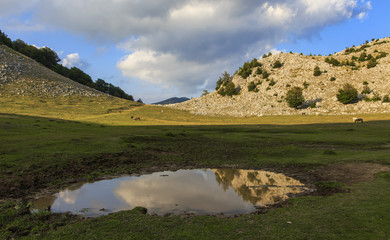 Mountain lake with reflection in water