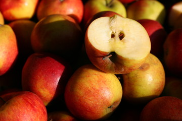 Äpfel