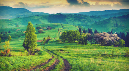 Majestic Carpathian morning. Vintage colors