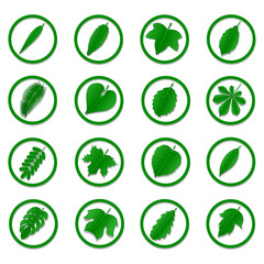 A diverse collection of green leaves in the form of icons