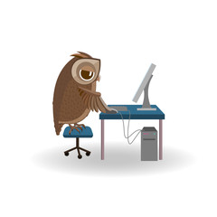 Fototapeta premium Owl working on the computer.